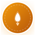 WordPress Logo